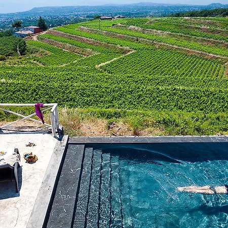 Wine Villagrande