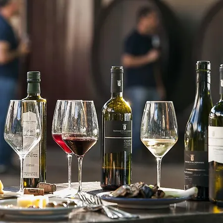 Alloggio per agriturismo Wine Villagrande