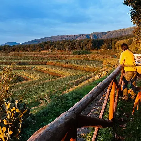 Farm stay Wine Villagrande Milo
