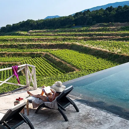 Wine Villagrande