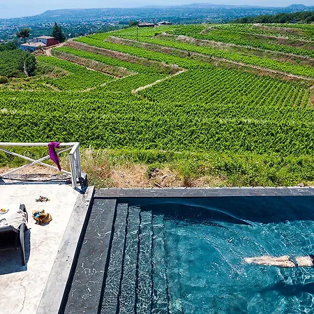 Wine Villagrande