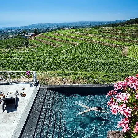 Wine Villagrande * Milo