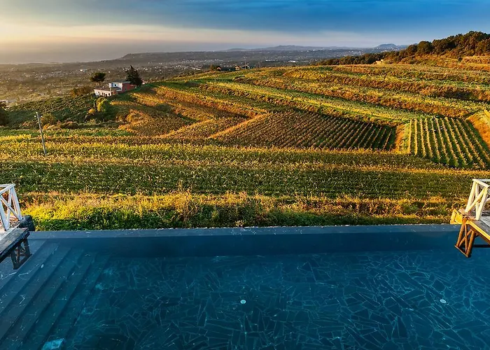 Wine Villagrande Feriegård Milo